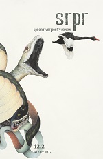 Cover image of issue 42.2