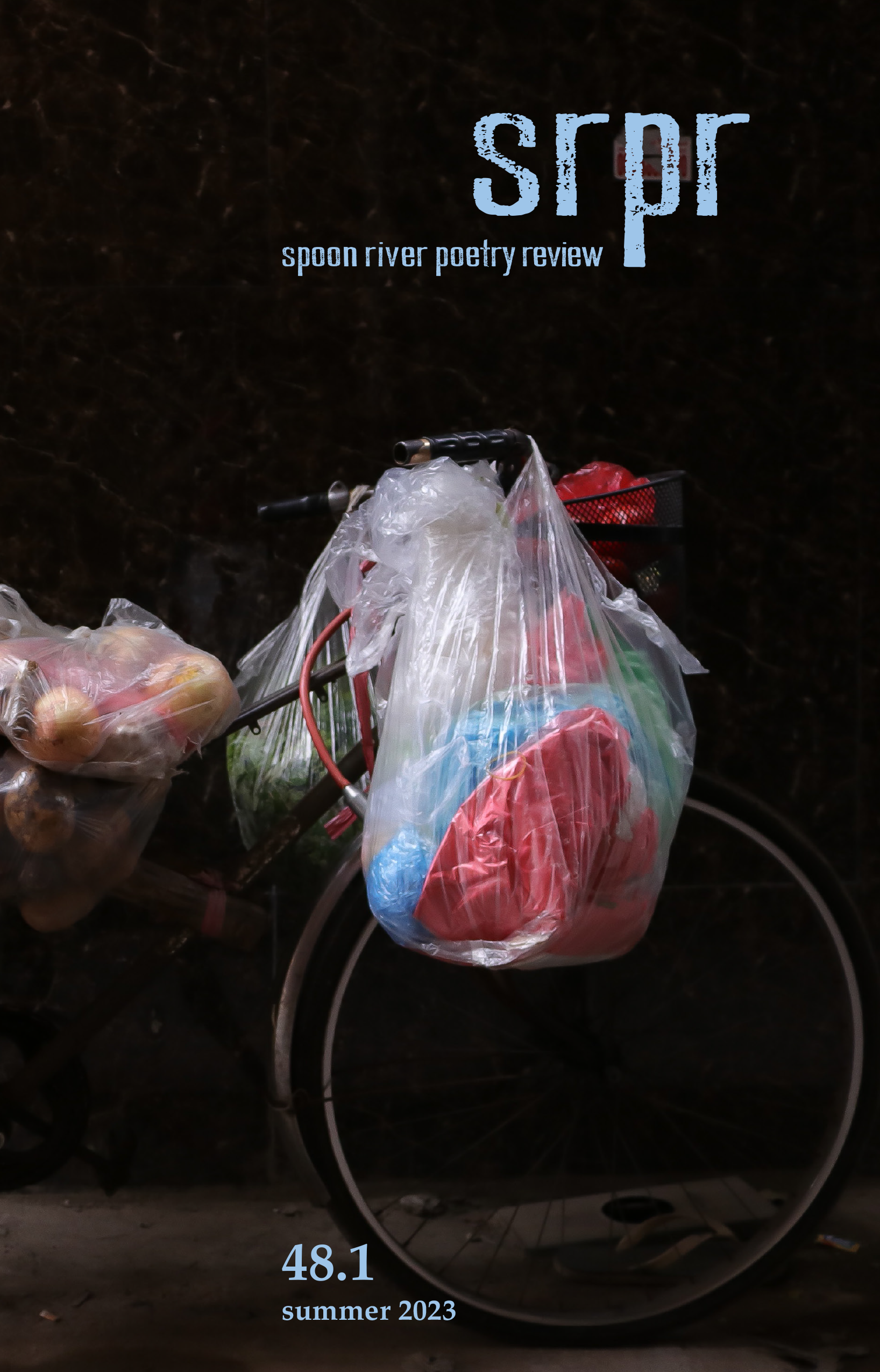 Cover image of issue 48-1