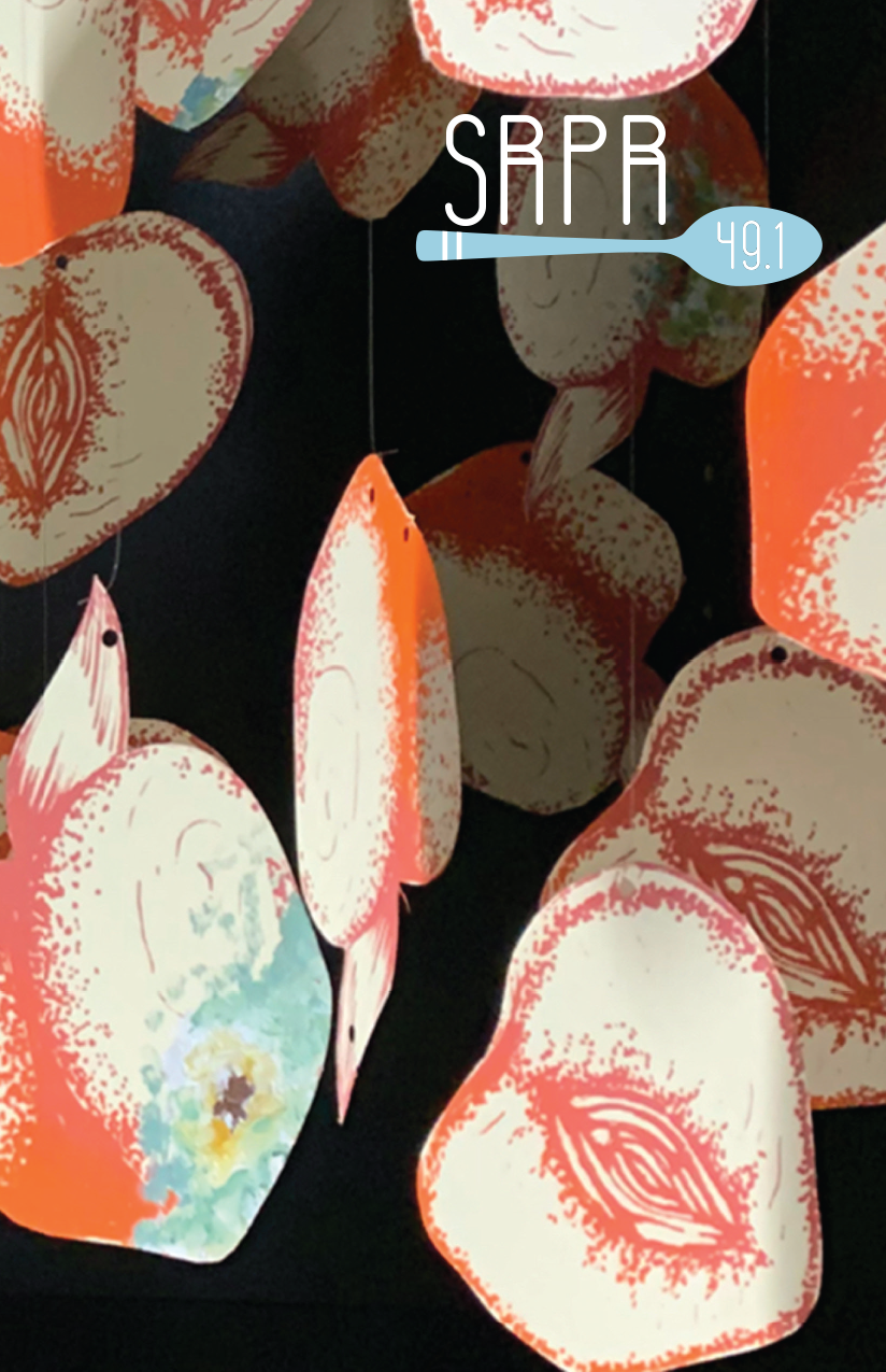 Cover image of issue 49-1